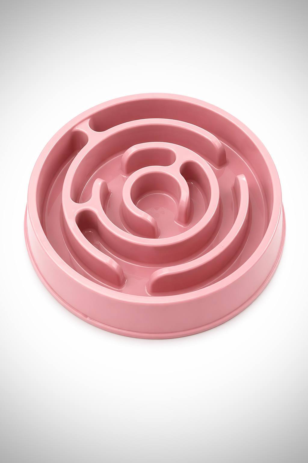 Slow Feed Pet Bowl