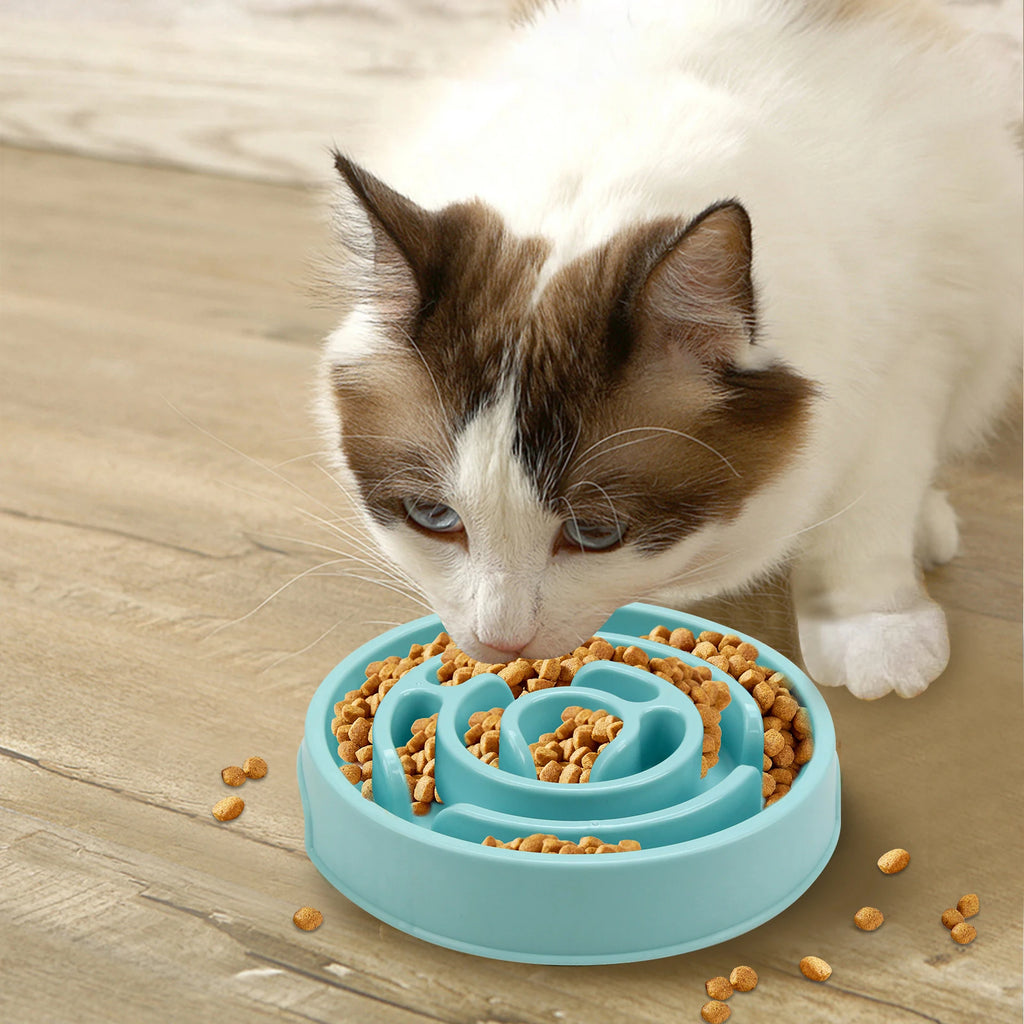Slow Feed Pet Bowl